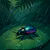 Thumbnail for Generador de nombres de insectos mascota