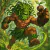 Thumbnail for Sadida Name Generator (Wakfu/Dofus)